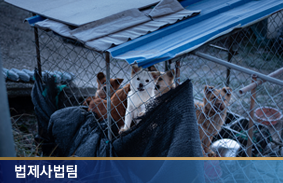 동물학대 재범차단을 위한  법적 방안 검토-보안처분으로서의 사육금지명령에 관하여