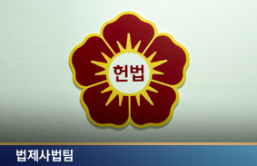 차근차근 서두르라는 개헌 여론 헌법개정 관련 대국민 설문조사 분석